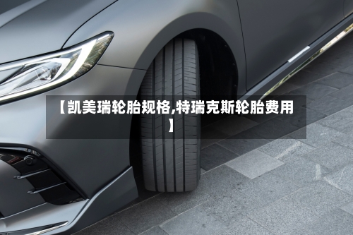 【凯美瑞轮胎规格,特瑞克斯轮胎费用】