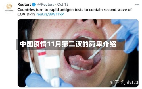 中国疫情11月第二波的简单介绍