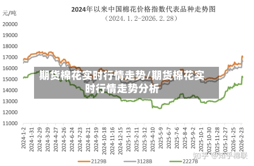期货棉花实时行情走势/期货棉花实时行情走势分析