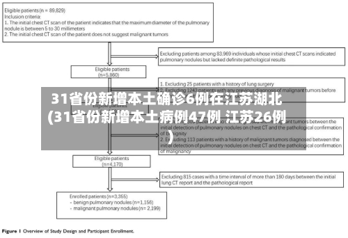 31省份新增本土确诊6例在江苏湖北(31省份新增本土病例47例 江苏26例)