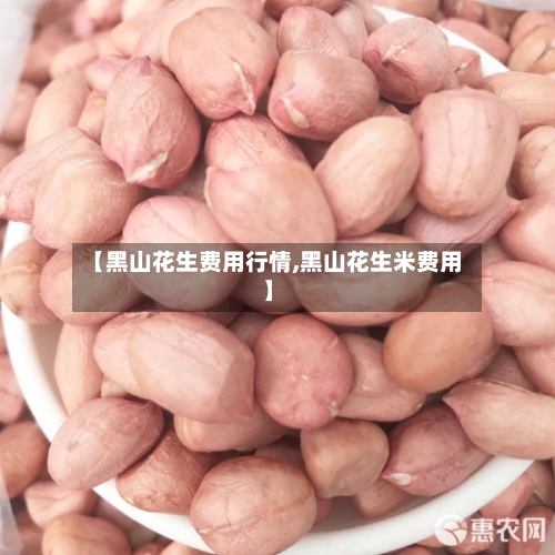 【黑山花生费用行情,黑山花生米费用】
