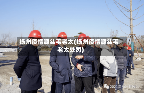 扬州疫情源头毛老太(扬州疫情源头毛老太处罚)