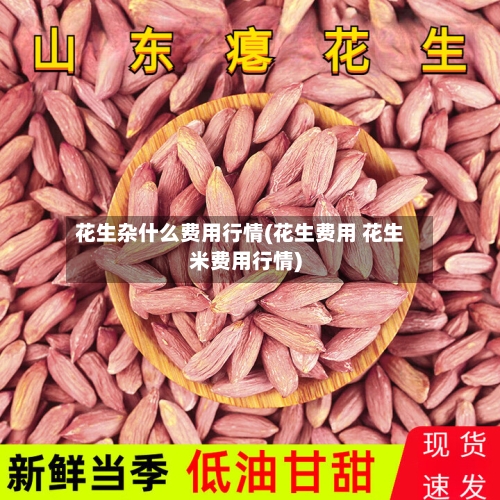 花生杂什么费用行情(花生费用 花生米费用行情)