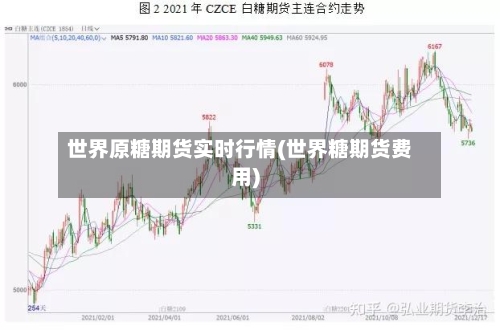 世界原糖期货实时行情(世界糖期货费用)