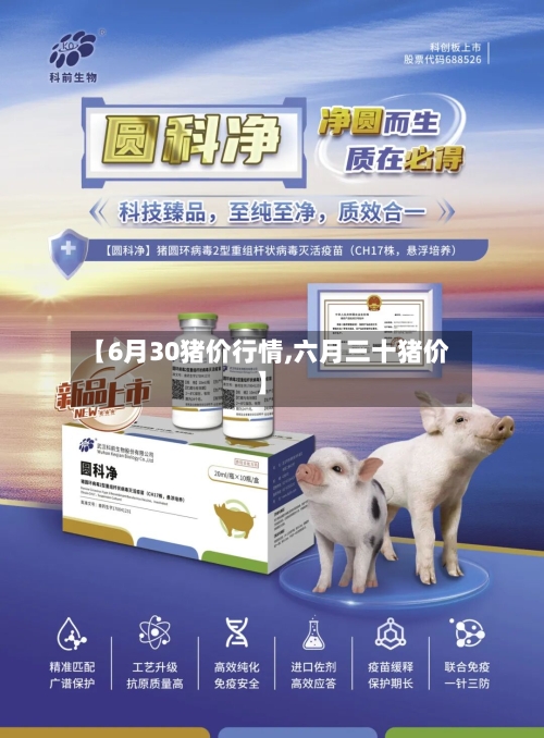 【6月30猪价行情,六月三十猪价】